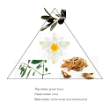 Panier des Sens Oliva Handcreme 75 ml
