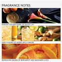Grace Cole Ginger Lily & Mandarin - Ingwerlilie und Mandarine Duschgel 300 ml + feuchtigkeitsspendende Körperlotion 300 ml, Kosmetikset für Frauen