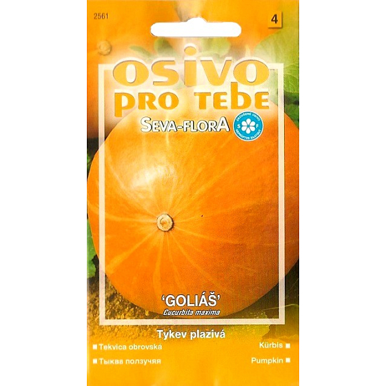 Seva - Flora Creeping Kürbis Goliath 3 g