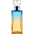Calvin Klein Ewigkeitssommer für Frauen 2017 Eau de Parfum 100 ml Tester
