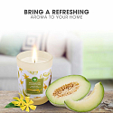 Air Wick Ätherische Öle Weiße Melone & Ylang Ylang - Weiße Melonen und Ylang Ylang Duftkerzenglas 185 g