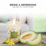 Air Wick Ätherische Öle Weiße Melone & Ylang Ylang - Weiße Melonen und Ylang Ylang Duftkerzenglas 185 g