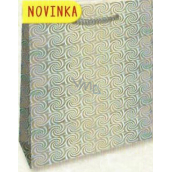 Nekupto Geschenk Papiertüte Hologramm 32 x 26 x 13 cm Silber 123 02 THL