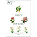 Panier des Sens Strahlender Pfingstrosen-Reinigungsschaum mit Blumenduft 150 ml