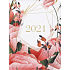 Albi Diary 2021 wöchentliche Darts 17 x 12,5 x 1,2 cm