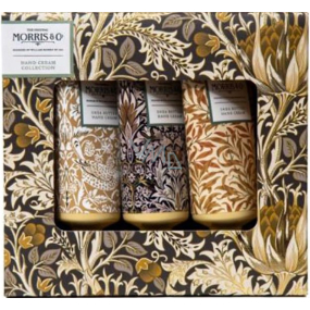 Heathcote & Ivory Iris & Cardamon Handcreme 3 x 30 ml, Kosmetikset