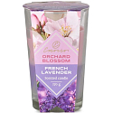 Emocio Orchard Blossom & French Lavender - Blühende Blumen und Lavendel zweifarbige Duftkerze Glas 76 x 118 mm 170 g