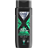 Dixi Men Anti Dandruff Shampoo gegen Schuppen, 400 ml