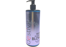 Professionelle Haarpflege Destivii Silver Blond Shampoo für blondes Haar 500 ml