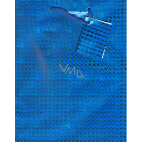 Ditipo Geschenk Papiertüte Lux 18 x 10 x 22,7 cm glänzend blau