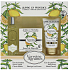 Jeanne en Provence Verveine Cédrat - Parfümwasser mit Eisenkraut und Zitrusfrüchten für Frauen 60 ml + Toilettenseife 100 g + Handcreme 75 ml, Kosmetikset