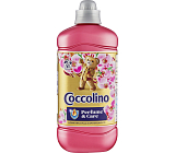Coccolino Weichspüler Geißblatt, 51 Wäschen, 1275 ml