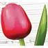 Böhmen Geschenke Holztulpe rosa-rot 34 cm