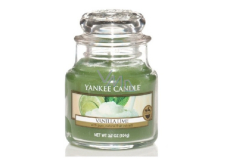 Yankee Candle Vanilla Lime - Vanille mit Limette Klassische Kerze Kleines Glas 104 g