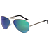Entspannen Sie sich Floris Polarized Sonnenbrille R2291C