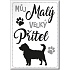 Nekupto Haustiere Magnet Hund 66 x 90 x 2 mm