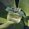 Chloé Rose Naturelle Intense Eau de Parfum Nachfüllbarer Flakon für Frauen 30 ml