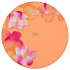 Catrice Seeking Blumen Lidschatten Palette C01 Kaufen Sie sich Blumen 17 g