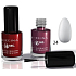 Regina 66 Sek. Schnelltrocknender Nagellack Nr. R24 8 ml