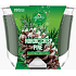 Glade von Brise Nordic Crisp Pine mit dem Duft von Kiefer, Wacholder und Mistel duftet große Kerze in einem Glas, Brenndauer bis zu 52 Stunden 224 g