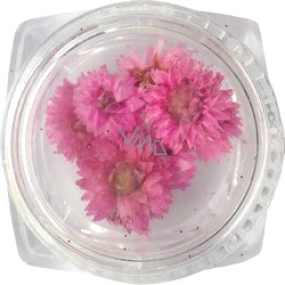 Professionelle Trockenblumen für Nägel 10120 pink / creme 10 Stück