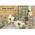 Lima Wellness Present Kiefernwald Aroma Kerze grün Zylinder 70 x 150 mm 1 Stück - beschädigt