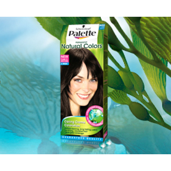 Schwarzkopf Palette Permanent Natural Colors Haarfarbe 800 dunkelbraun