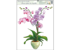 Fensterfolie ohne Orchideenkleber hellrosa 42 x 30 cm