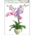 Fensterfolie ohne Orchideenkleber hellrosa 42 x 30 cm