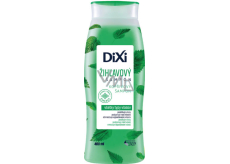 Dixi Brennnessel-Shampoo gegen Haarausfall, 400 ml