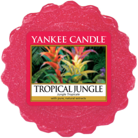 Yankee Candle Tropical Jungle - Tropisches Dschungelduftwachs für Aromalampe 22 g