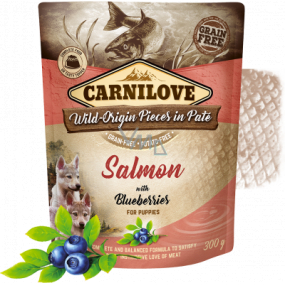 Carnilove Hundebeutel Paté Lachs mit Blaubeeren in zelllosen Taschen für Welpen 300 g