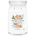 Yankee Candle White Spruce & Grapefruit - Weiße Fichte & Grapefruit Duftkerze Signature großes Glas 2 Dochte 567 g