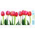 Bogen Ganzjahresaufkleber, Fensterfolie ohne Kleber Rosa Tulpenstreifen 35 x 16 cm