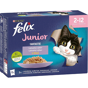 Felix Fantastic Junior kapsičky pro kočky výběr v želé, 12× 85 g Felix Fantastic Junior kapsičky pro kočky výběr v želé, 12× 85 g
