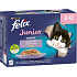 Felix Fantastic Junior kapsičky pro kočky výběr v želé, 12× 85 g