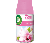 Air Wick FreshMatic Kirschblüten Nachfüllung für Lufterfrischer, 250 ml