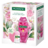 Palmolive Alluring Love Soft Rose & Peony Duschgel 500 ml + Happy Roll-on Antitranspirant 50 ml + Gua Sha Gesichtsmassagegerät, Kosmetikset für Frauen