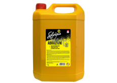 Solvina Pro Abrasive Handflüssigkeitswaschpaste für stark verschmutzte Hände mit hoher Reinigungsfähigkeit 5 kg Kanister