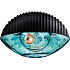 Kenzo World Collectors Edition EdP 50 ml Duftwassertester für Damen