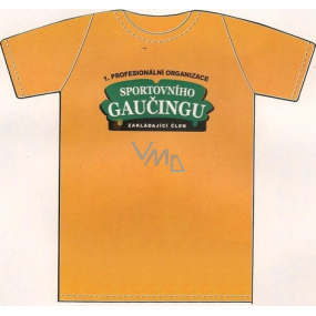 Nekupto T-Shirt 1. Professionelle Organisation von Sports Couching 1 Stück orange