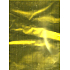 Nekupto Cellophan Beutel 20 x 35 cm Gold
