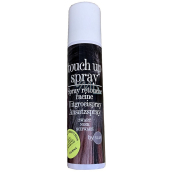 Touch Up Spray Spray zum Abdecken von grauem Haar Schwarz 75 ml