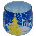 Essences of Life Weihnachtsbaum Duftkerze im Glas 100 g