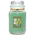 Yankee Candle Crunchy Pistachio Vanilla - Duftkerze für Pistazien und Vanille Klassisches großes Glas 623 g