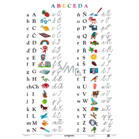 Ditipo Alphabet didaktisches Werkzeug A4 21,4 x 30 x 0,1 cm