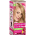 Garnier Color & Shine Haarfarbe 8.0 hellblond