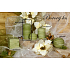 Lima Wellness Kiefernwald Aroma Kerzenzylinder 60 x 120 mm 1 Stück