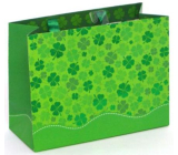Nekupto Geschenkpapiertüte 23 x 17,5 x 10 cm Vierblättriges Kleeblatt 1581 LFM
