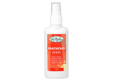 DR. Popov Panthenol Spray kühlt und beruhigt die Haut, verbessert die Qualität und das Wachstum der Haare 110 ml
